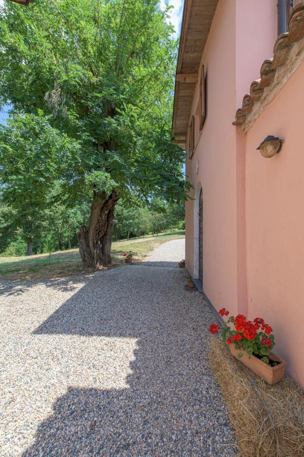 Tenuta Cascina Marenco Gavi Buitenkant foto